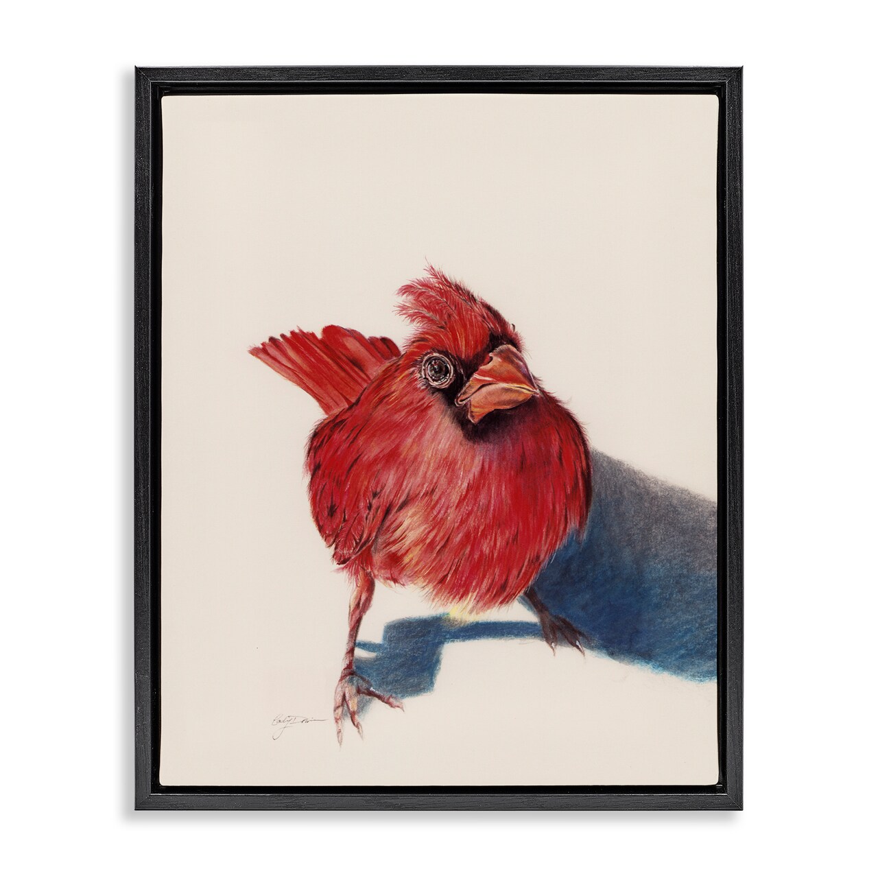 Stupell Industries Standing Cardinal Bird Floating Frame, design by Cady Driver